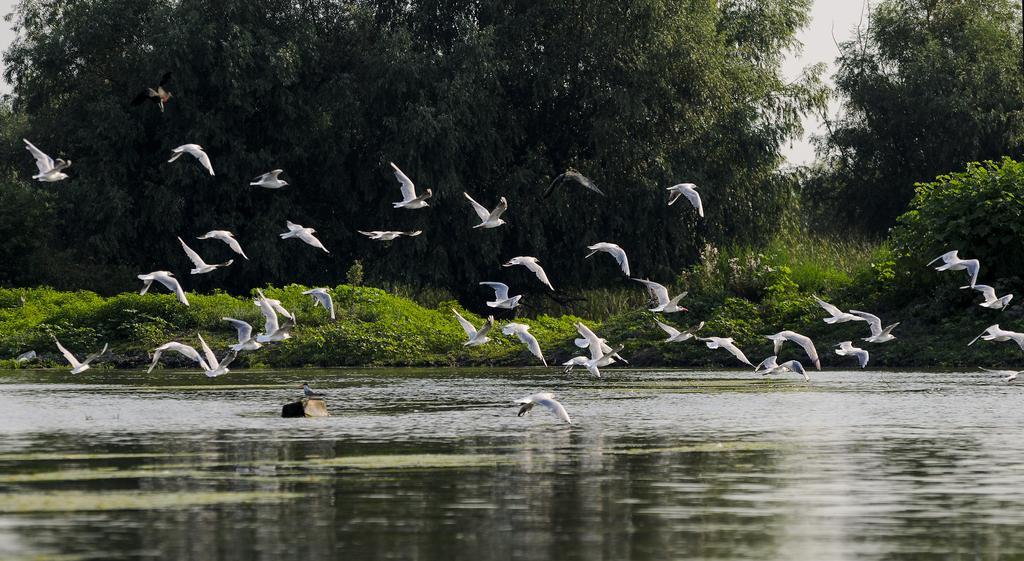 Vila Delta Travel - Mila 23 Mila Douăzeci şi Trei Kültér fotó